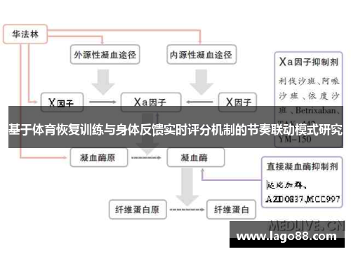 基于体育恢复训练与身体反馈实时评分机制的节奏联动模式研究