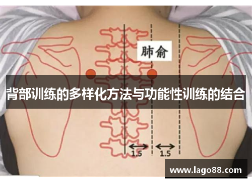 背部训练的多样化方法与功能性训练的结合
