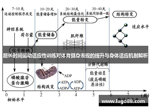 超长时间运动适应性训练对体育健身表现的提升与身体适应机制解析