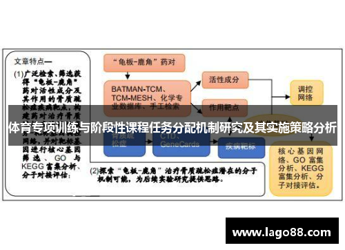 体育专项训练与阶段性课程任务分配机制研究及其实施策略分析